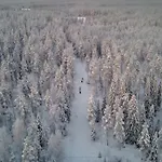 Old Pine Husky 리조트 Sompujarvi