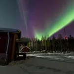 Resort Old Pine Husky