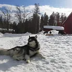 Old Pine Husky Resort *