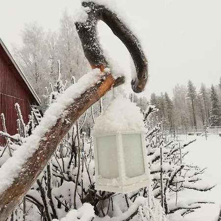 Old Pine Husky Resort *