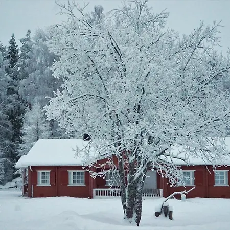 Old Pine Husky Resort *