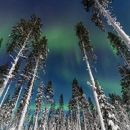 Old Pine Husky 度假村 Sompujarvi