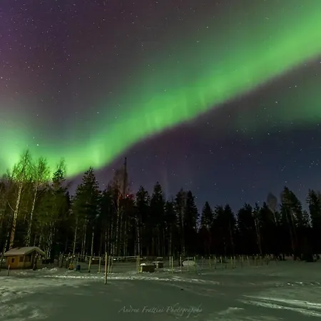 Lomakeskus Old Pine Husky