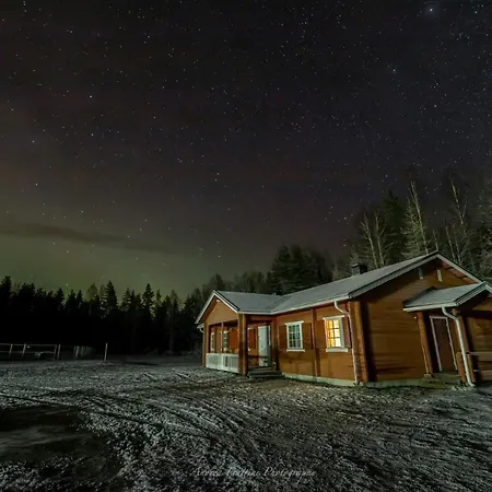 Old Pine Husky Sompujarvi