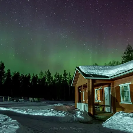 Old Pine Husky * Sompujarvi