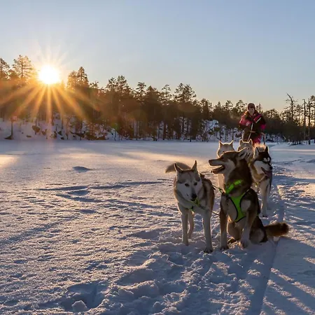 Resort Old Pine Husky