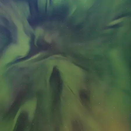 度假村 Old Pine Husky *