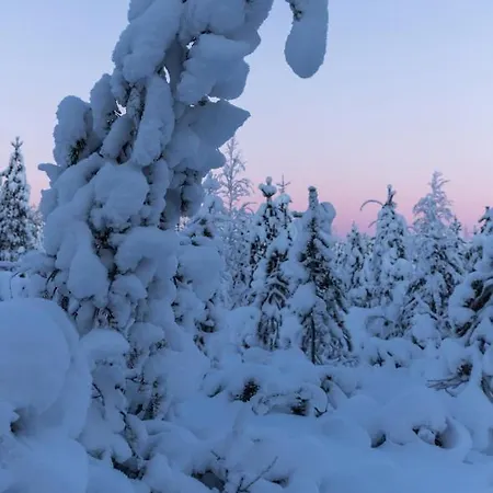 Old Pine Husky Resort