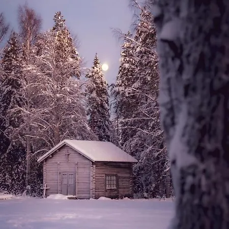 度假村 Old Pine Husky Sompujarvi