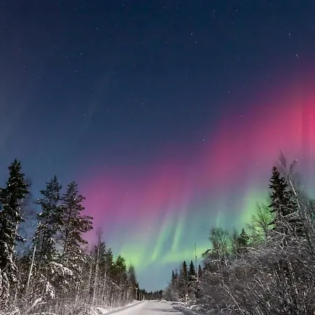 Lomakeskus Old Pine Husky Sompujarvi