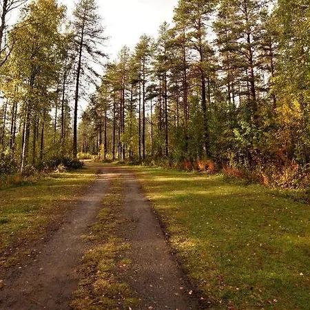 Old Pine Husky Lomakeskus Sompujarvi