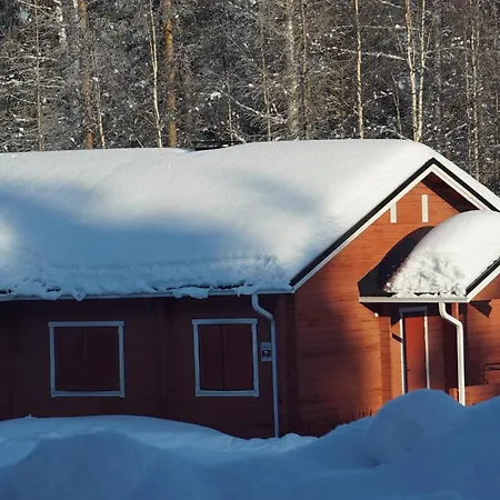 Old Pine Husky Lomakeskus