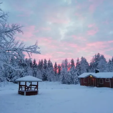 Old Pine Husky Lomakeskus