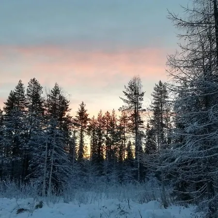 Old Pine Husky Resort Sompujarvi