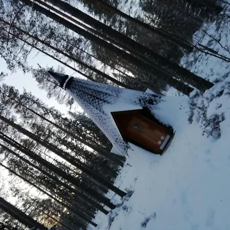 Old Pine Husky Lomakeskus *