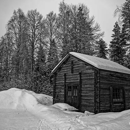 Resort Old Pine Husky *