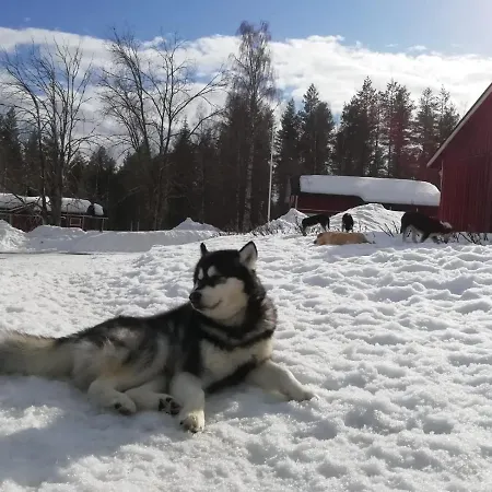 Old Pine Husky Station touristique *