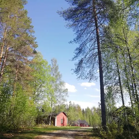 Resort Old Pine Husky