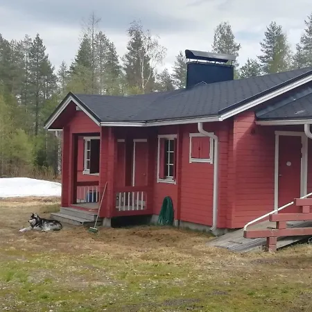 Old Pine Husky Sompujarvi