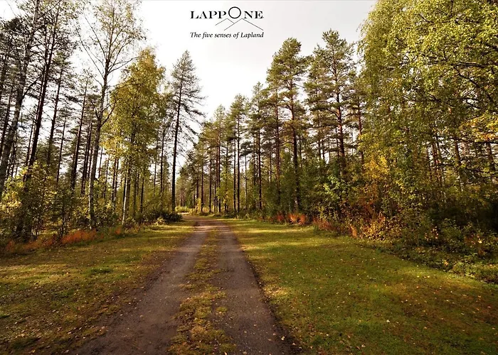 Resort Old Pine Husky