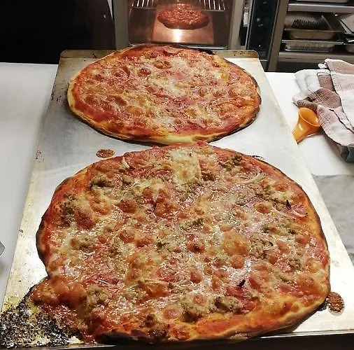 Old Pine Husky Sompujarvi