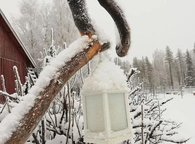 Old Pine Husky Resort *