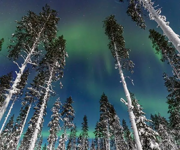 Old Pine Husky Resort Sompujarvi