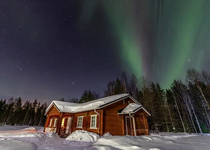 Resort Old Pine Husky *