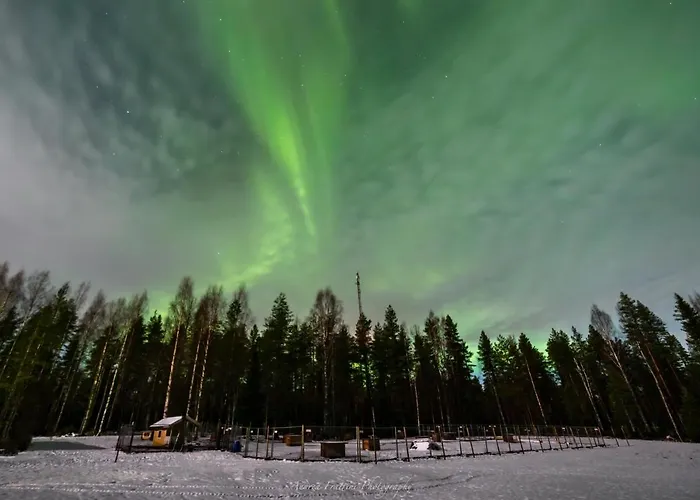 Resort Old Pine Husky Sompujarvi