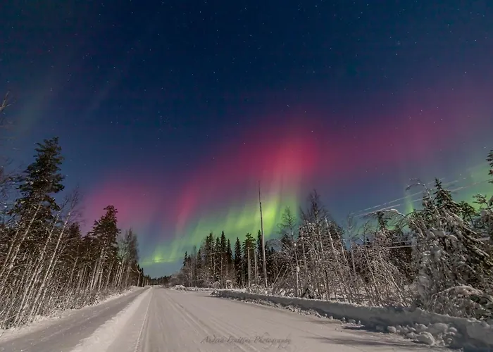 Old Pine Husky Resort *