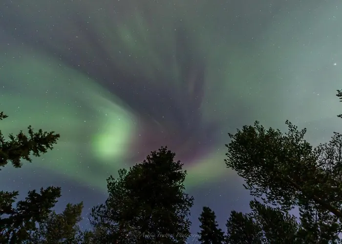 Old Pine Husky Resort *