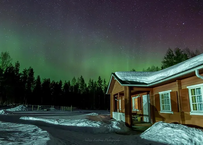 Old Pine Husky * Sompujarvi