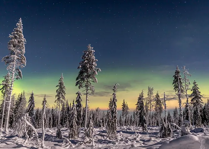 Old Pine Husky Resort