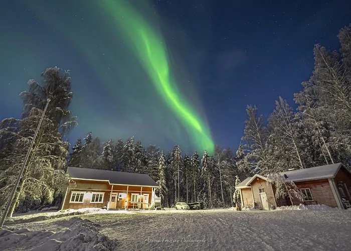 Resort Old Pine Husky