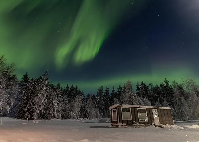 Resort Old Pine Husky *