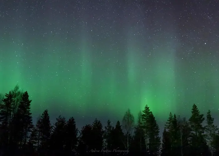 Old Pine Husky Resort Sompujarvi