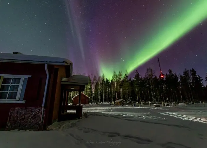 Resort Old Pine Husky