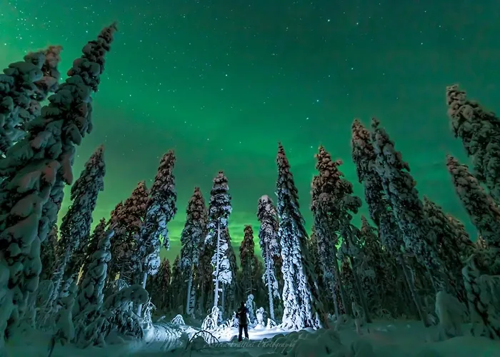 Resort Old Pine Husky Sompujarvi