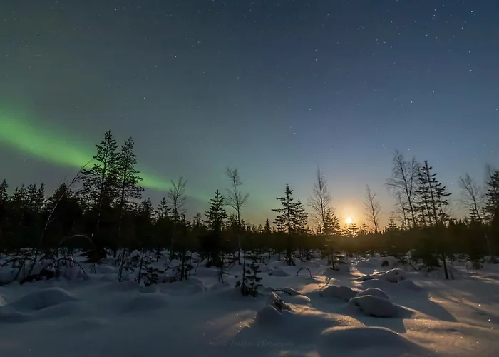 Resort Old Pine Husky Sompujarvi