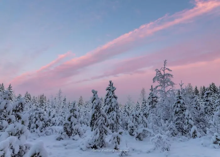 Resort Old Pine Husky *