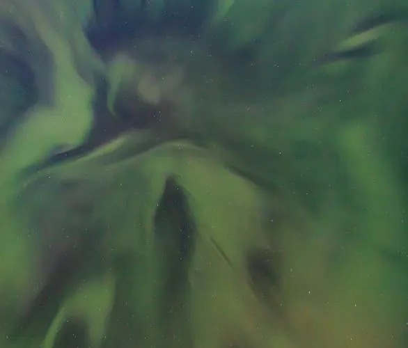 Resort Old Pine Husky *