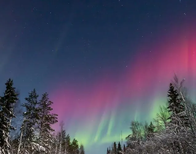 Resort Old Pine Husky Sompujarvi