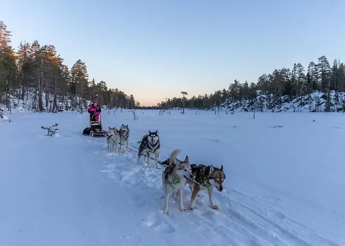 Resort Old Pine Husky