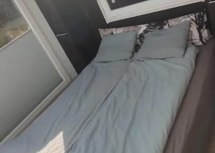 Old Pine Husky Sompujarvi