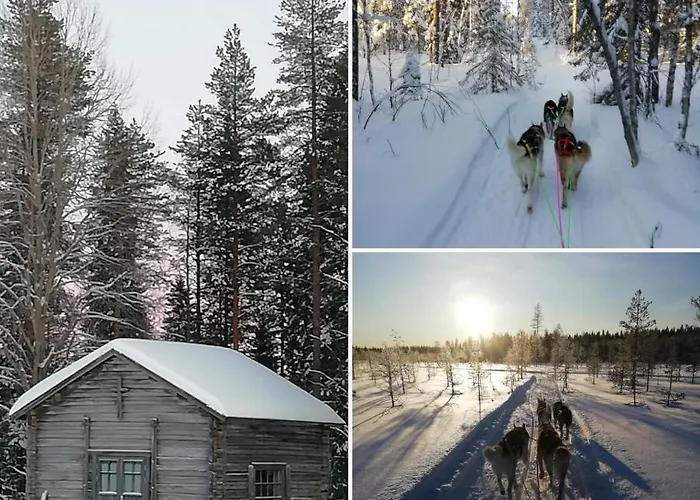 Old Pine Husky Resort *