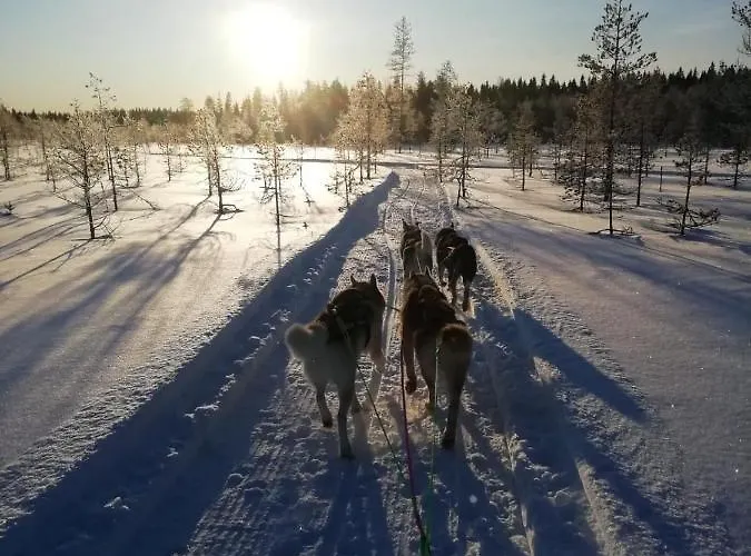 Old Pine Husky Resort Sompujarvi