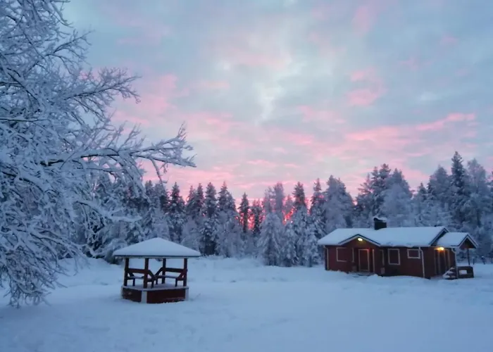 Old Pine Husky Resort