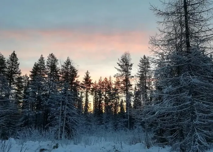 Old Pine Husky Resort Sompujarvi