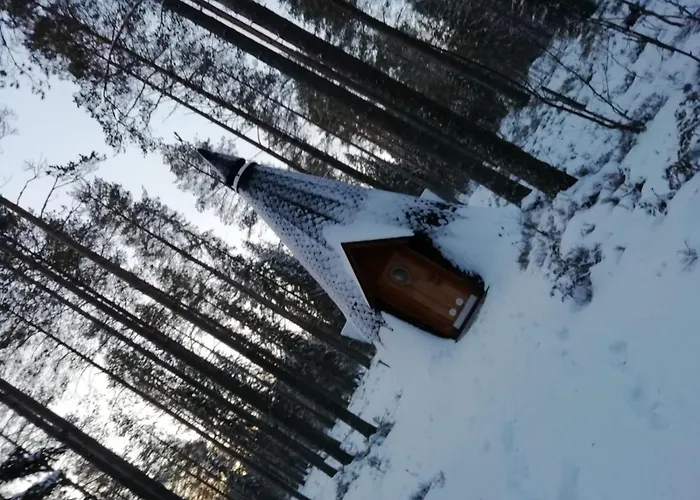 Old Pine Husky Resort *