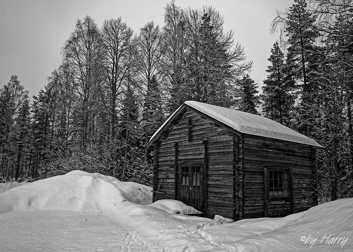 Resort Old Pine Husky *